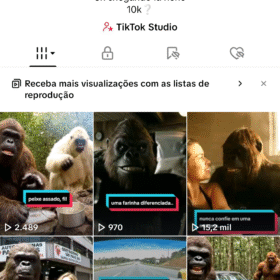 Conta tiktok com 4.465 seguidores | Venda rápida porque preciso de dinheiro.