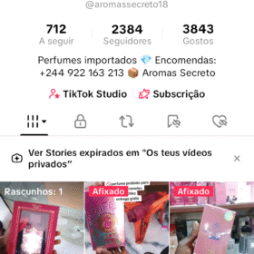 Conta Tiktok com 2383 Seguidores