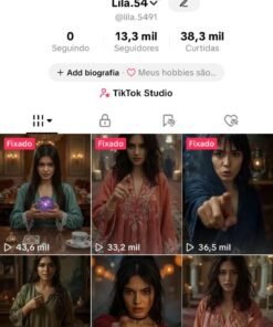CONTA DO TIKTOK MONETIZADA 13,3K SEGUIDORES (ÓTIMO ENGAJAMENTO)