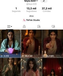 CONTA DO TIKTOK MONETIZADA 13,5K SEGUIDORES (ÓTIMO ENGAJAMENTO)
