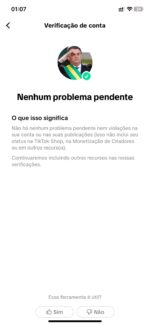 CONTA DO TIKTOK MONETIZADA 12K SEGUIDORES (ÓTIMO ENGAJAMENTO) - Imagem 2