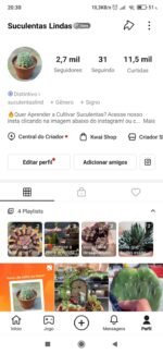 Kwai Suculentas 2700 seguidores CRIADOR SHOP ativo!