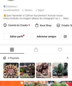 Kwai Suculentas 2700 seguidores CRIADOR SHOP ativo!