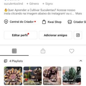 Kwai Suculentas 2700 seguidores CRIADOR SHOP ativo!