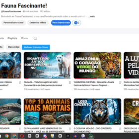 Canal nicho animal 4,9 mil inscritos