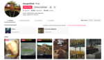 TikTok de GTA 24.3K Seguidores