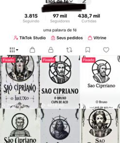 Conta do tik tok com 97K Seguidores