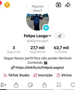 Conta no TIKTOK Monetizado 27.7K Seguidores
