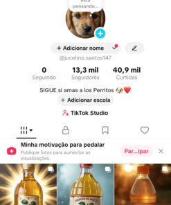 VENDO CONTA 13K TIKTOK EUA 🇺🇸