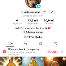 VENDO CONTA 13K TIKTOK EUA 🇺🇸