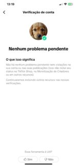 VENDO CONTA 13K TIKTOK EUA 🇺🇸 - Imagem 2