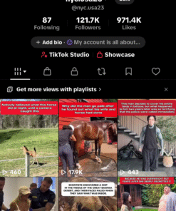 Conta francesa com shop 120k de seguidores