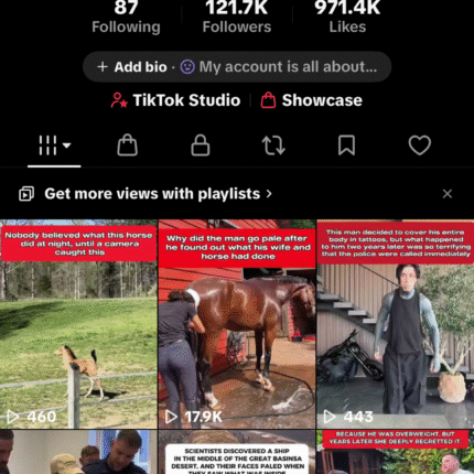 Conta francesa com shop 120k de seguidores