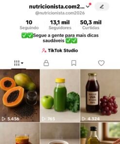 CONTA 13K SEGUIDORES TIKTOK BR 🇧🇷