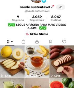 CONTA 2K SEGUIDORES TIKTOK BR🇧🇷