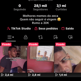 Vendo conta TIKTOK dark monetizado com 28.2K Seguidores, bastante engajada.