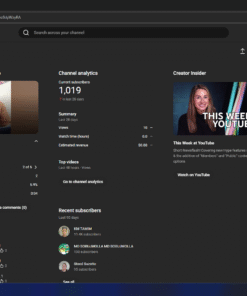 Monetized Reviews Channel for Sale: DANANEER MUBEEN