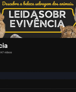 Canal do YouTube 41K – Pronto para Monetização e Escalabilidade no Seu Projeto Digital