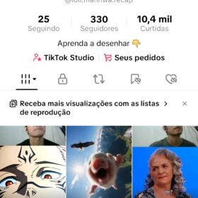 TIKTOK VIRAL ANIME 330 Seguidores