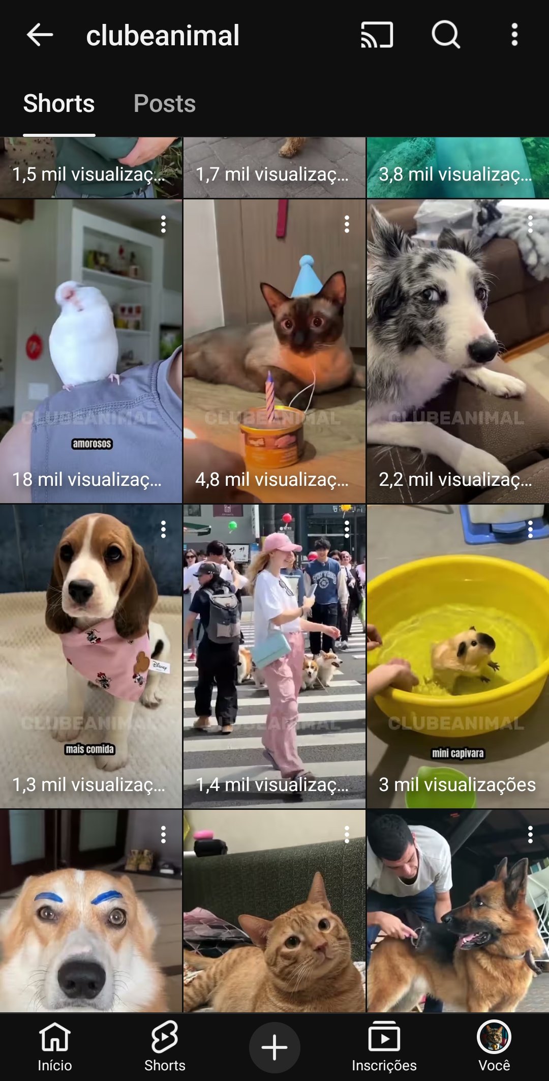 Screenshot_20251106_173015_YouTube