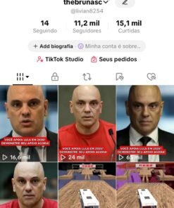 CONTA DO TIKTOK MONETIZADA 11K SEGUIDORES (BEM ENGAJADA)