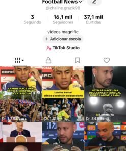 Conta TikTok MONETIZADA (EUA e BR) 16.1K Seguidores