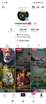 CONTA TIKTOK 🇧🇷 37K+ SEGUIDORES BR 🇧🇷 PROMOVER+SITE+LIVES+TROCAR NOME ✅