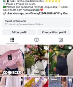 Perfil com 26 mil seguidores