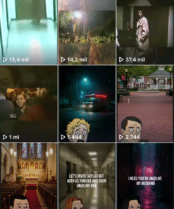 TTK 15.7K Seguidores 7306 Curtidas dogsandanimalss