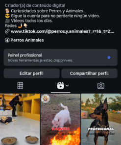 Instagram Perros y Animales 4.255 seguidores