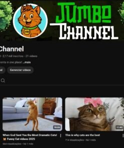 CANAL DE GATOS EM INGLÊS À VENDA — RPM US$ 2,50–4,00 + PACK COM 9.000 VÍDEOS | CANAL SAUDÁVEL 2,17 mil inscritos