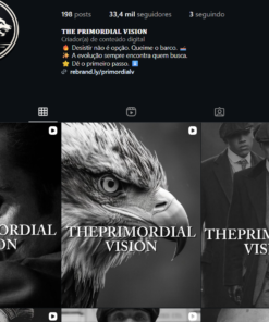 Instagram com 33K de Seguidores