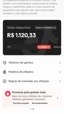 TikTok 7K + R$1120,33 Saldo Preso TikTok Shop
