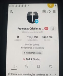 Conta do tiktok Gringa *( Região; Estados Unidos), 115 mil seguidores verdadeiros, monetizada, e engajada.