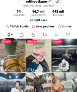 Conta TikTok 14,7k | Monetização ativa | Perfeita para renda extra