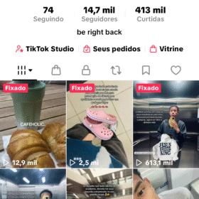 Conta TikTok 14,7k | Monetização ativa | Perfeita para renda extra