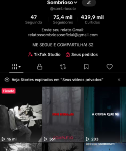 Página TikTok Nicho Terror | 75k Seguidores | Histórico de Monetização