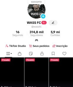 TikTok Com 315 mil de seguidores Monetizado ✅ Último vídeo com 11 milhões de visualizações
