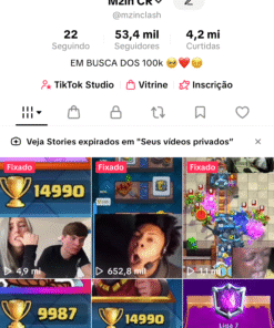 Tik tok com 53k de seguidores a venda