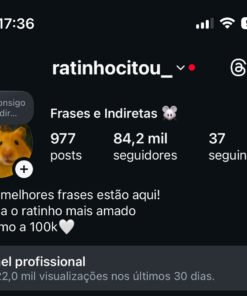 Instagram de entretenimento ótimo para monetizar 84,2 mil seguidores