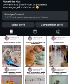 Página com menos de 3 semanas de criação Viralizada 943 seguidores