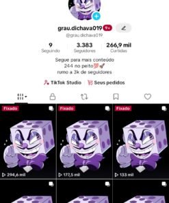 Conta Tiktok com 3383 Seguidores e 266 mil curtidas