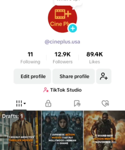 TikTok Gringo Monetizado +12k Seguidores