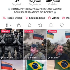 Conta no Tiktok com 36 mil seguidores reais