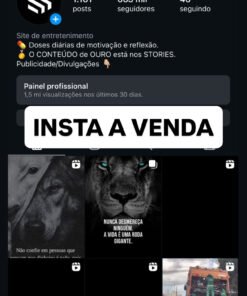 INSTA MOTIVACAO com 662 mil Seguidores