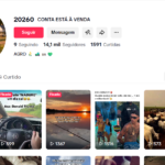 Canal do tiktok 14 mil seguidores
