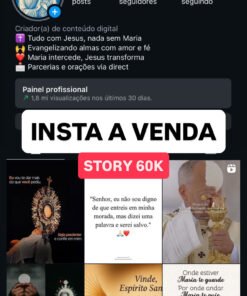 INSTA A VENDA com 343 mil Seguidores