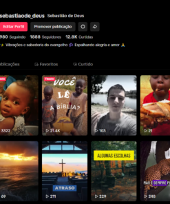 Tiktok sebastiaode_deus // 980 Seguindo // 1886 Seguidores // 12.8K Curtidas