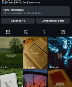 Conta Instagram impecável, 51.6k seguidores totalmente orgânicos