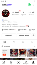 COMBO DE REDES SOCIAIS NO NICHO FLAMENGO – TikTok, Kwai, Instagram, YouTube e Facebook (Projeto Dark / Sem Aparecer) - Imagem 2